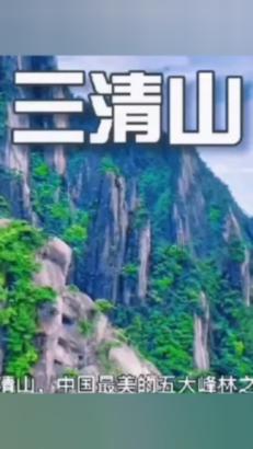 僵尸猎人赏金大赛